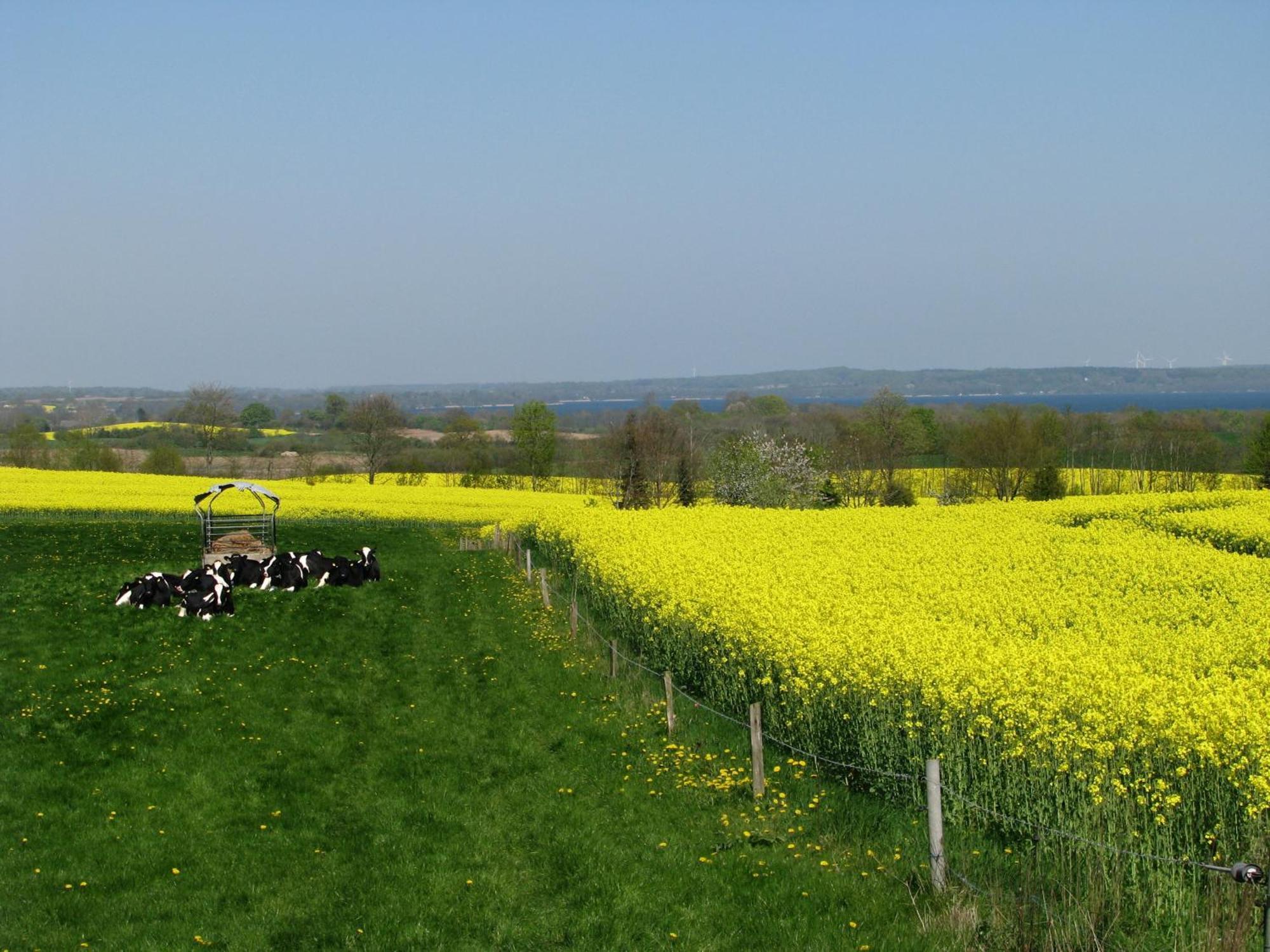 Frietied Am Wittensee Bunsdorf Ngoại thất bức ảnh